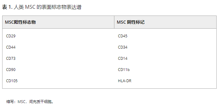 人類(lèi)MSC的表面標志物表達譜 人類(lèi)MSC的表面標志物表達譜