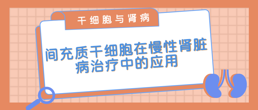 間充質(zhì)干細胞在治療慢性腎臟病中的應用