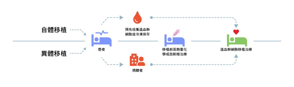 造血干細胞移植流程