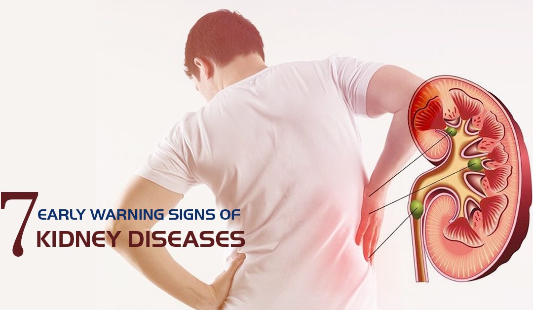 慢性腎臟病 (CKD) 的早期征兆、原因和治療