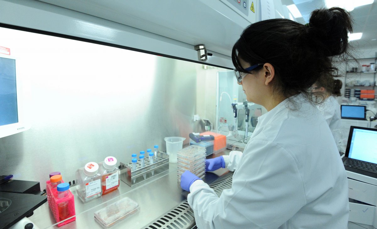 一位科學(xué)家正在研究誘導多能干細胞。圖片來(lái)源：Genome Research Limited