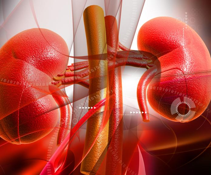 慢性腎臟病第三階段：原因、癥狀和治療