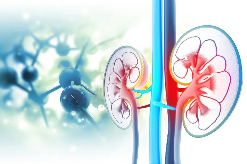 急性腎衰竭和慢性腎病有什么區別？