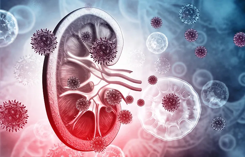 狼瘡性腎炎的體征和癥狀是什么？及其治療方法