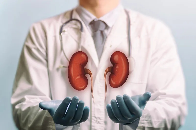 慢性腎臟病階段：癥狀、治療和預防