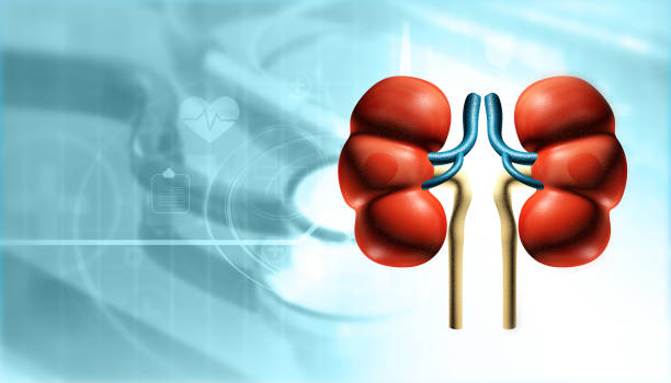 干細胞治療急性腎損傷，未來(lái)應從哪些方面提高其治療腎損傷的效果