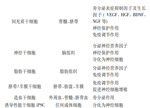 不同細胞類(lèi)型干細胞治療自閉癥的作用機制