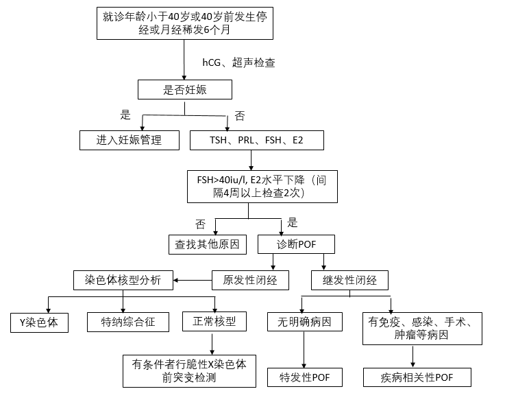 卵巢早衰診斷的流程: 卵巢早衰診斷的流程: