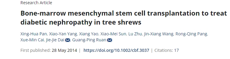 骨髓間充質(zhì)干細胞移植治療樹(shù)鼩糖尿病腎病
