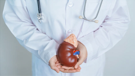 干細胞治療狼瘡性腎炎的過(guò)程