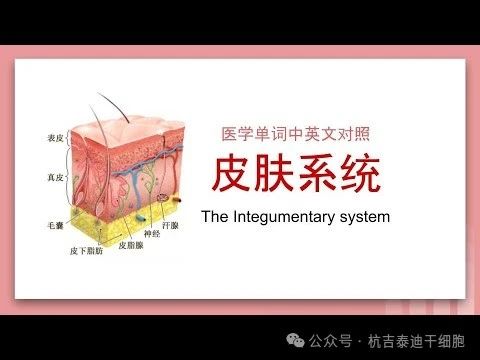 干細胞療法與皮膚系統