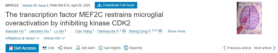 轉錄因子 MEF2C 通過(guò)抑制激酶 CDK2 來(lái)抑制小膠質(zhì)細胞過(guò)度活化