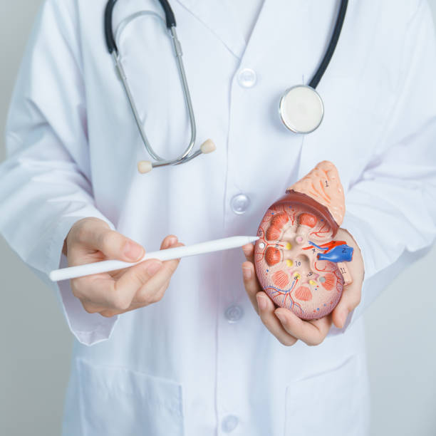 間充質(zhì)干細胞治療狼瘡性腎炎：586例患者分析顯示1年臨床緩解率顯著(zhù)提升