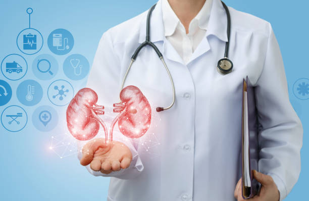 干細胞治療慢性腎?。喝蚺R床現狀、挑戰與展望